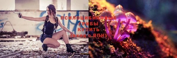 сатива Корсаков