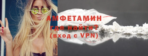 сатива Корсаков