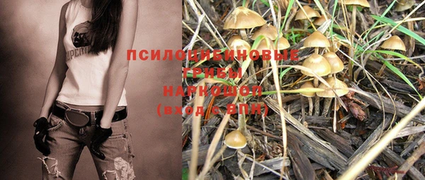 соль курить ск Козловка