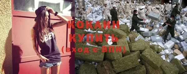 трава Козельск