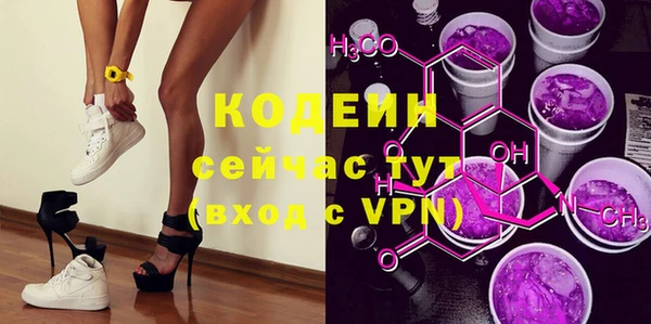 сатива Корсаков