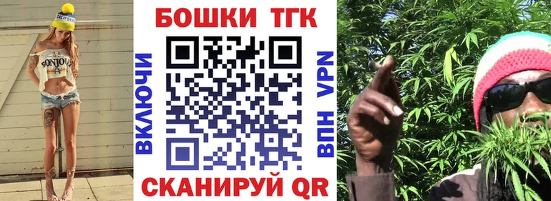 Купить  Кедровый  Бошки Шишки план 